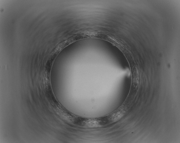 X0000077290518200611031553