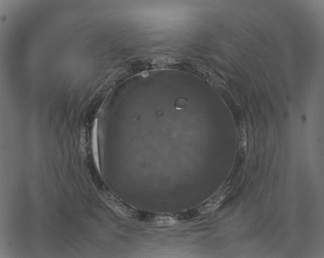 X0000077290519200611031553