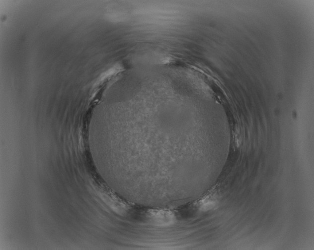 X0000077290520200611031553