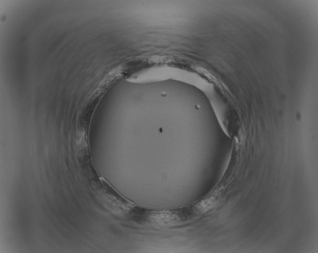 X0000077290521200611031553