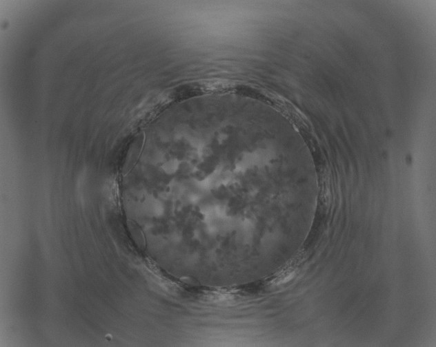 X0000077290523200611031553