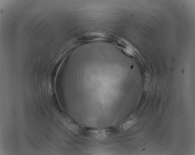 X0000077290524200611031553