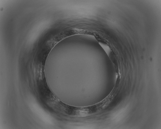 X0000077290525200611031553