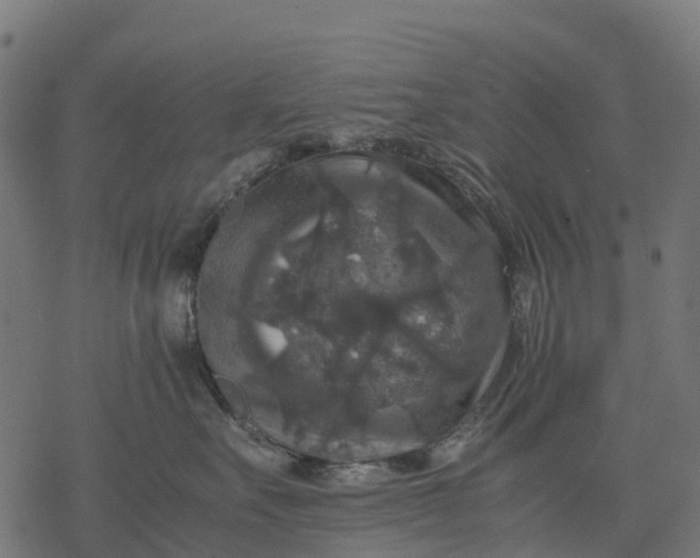 X0000077290527200611031553