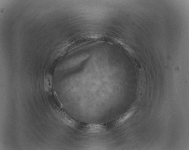 X0000077290528200611031553