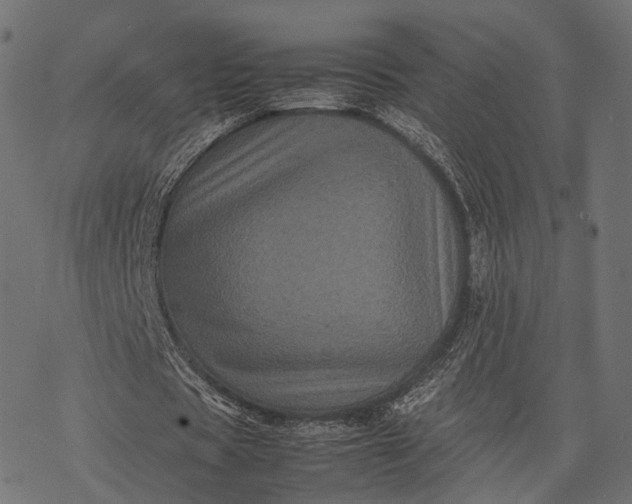 X0000077290529200611031552