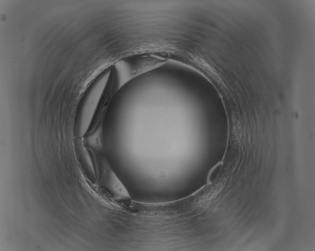 X0000077290530200611031552