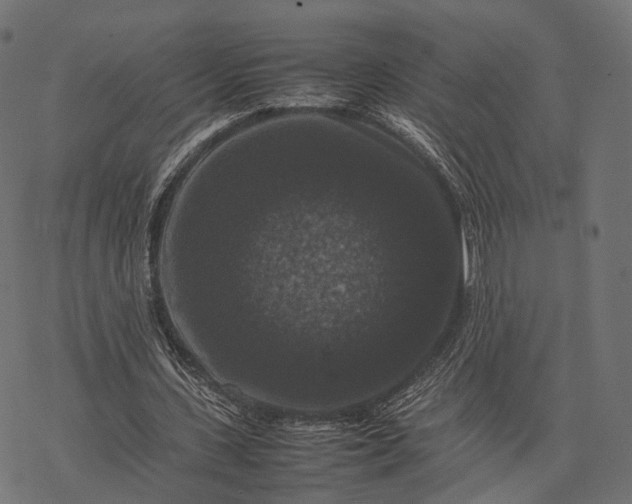 X0000077290531200611031552