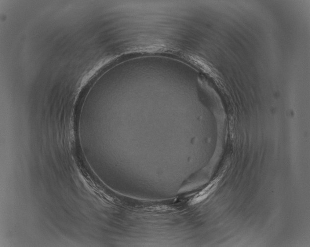 X0000077290532200611031552