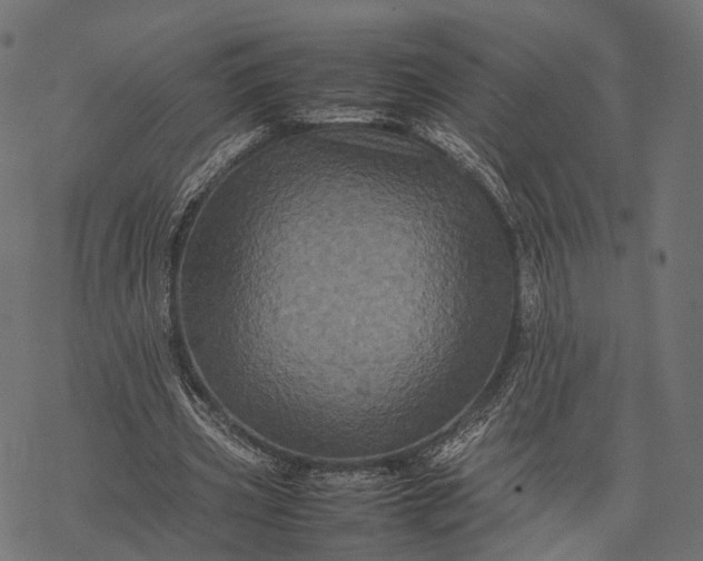 X0000077290533200611031552