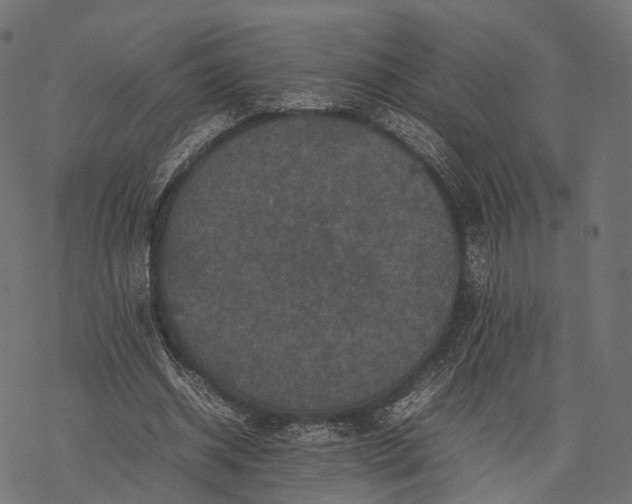 X0000077290534200611031552