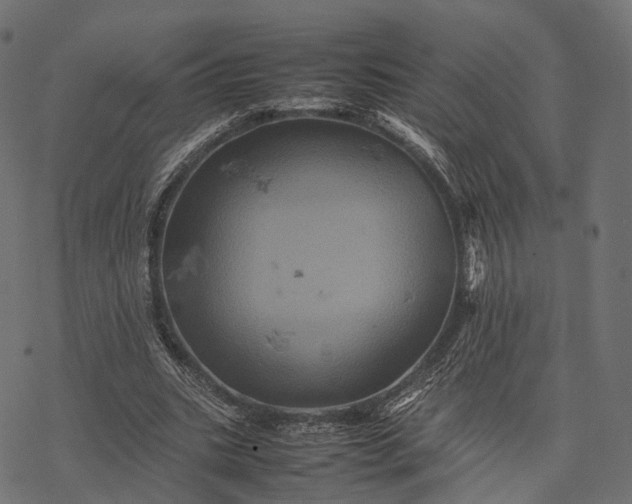 X0000077290535200611031553