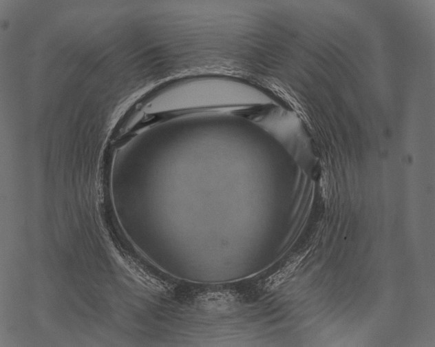 X0000077290536200611031553