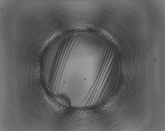 X0000077290538200611031553