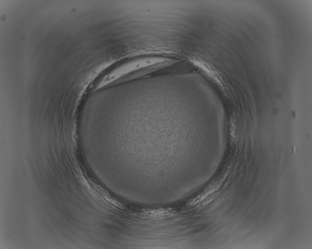 X0000077290540200611031553