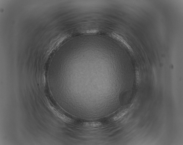 X0000077290541200611031553