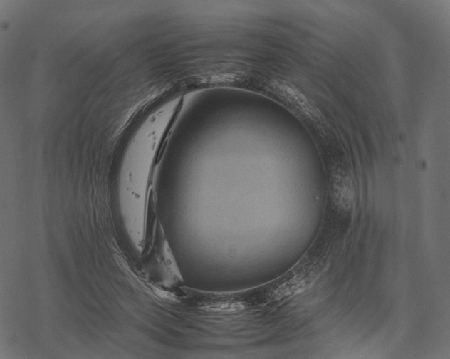 X0000077290543200611031553