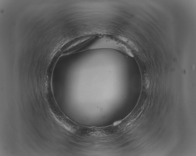 X0000077290544200611031553