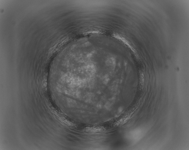 X0000077290545200611031553