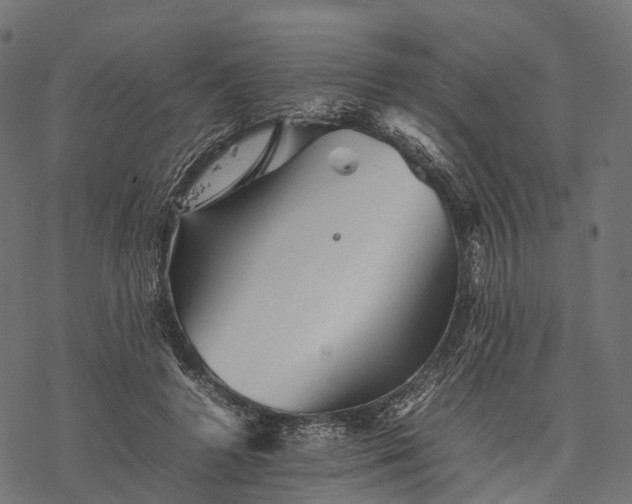 X0000077290546200611031553