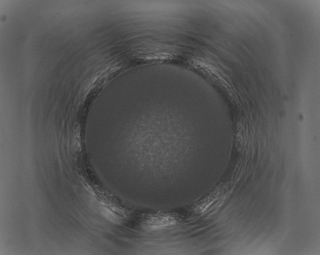 X0000077290547200611031553