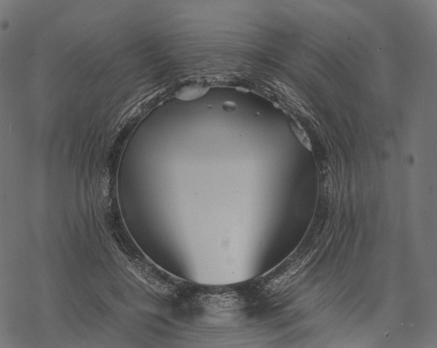 X0000077290548200611031553