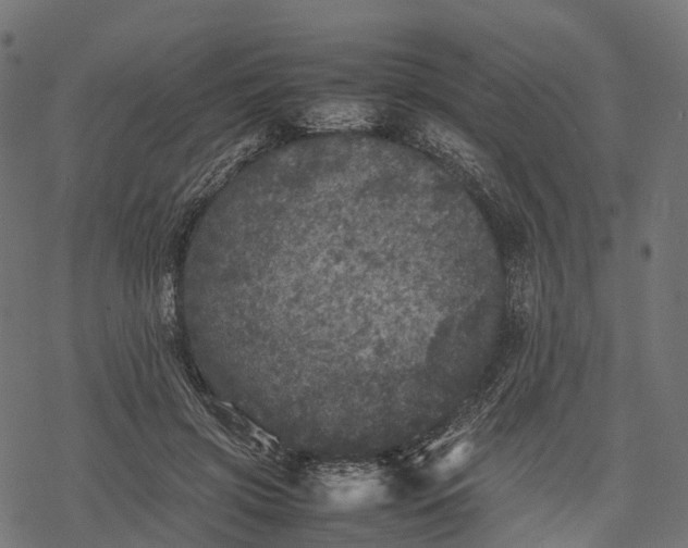 X0000077290549200611031553