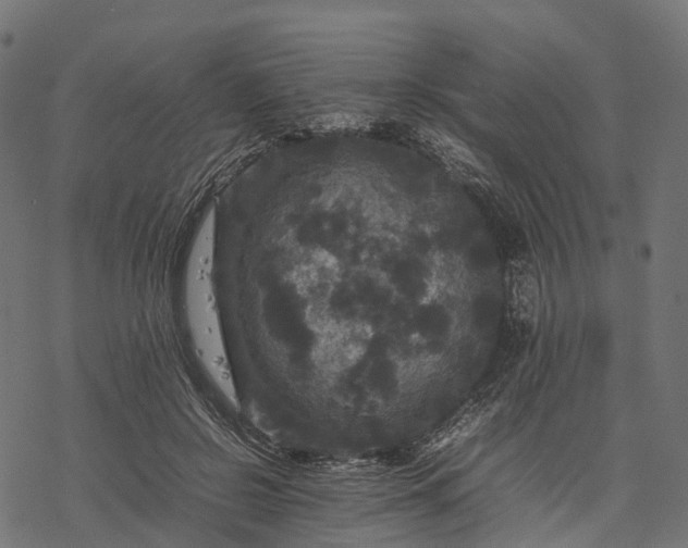 X0000077290550200611031553