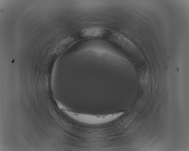 X0000077290551200611031553