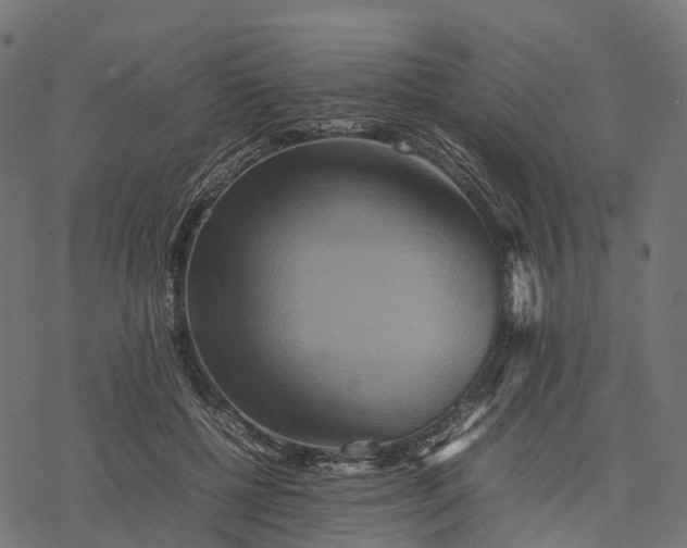 X0000077290552200611031553