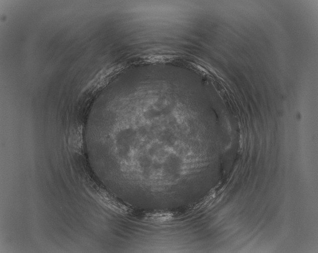 X0000077290554200611031553