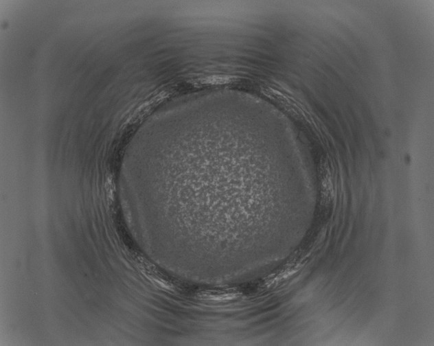 X0000077290555200611031553