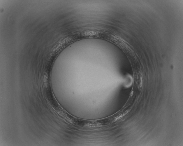 X0000077290556200611031553