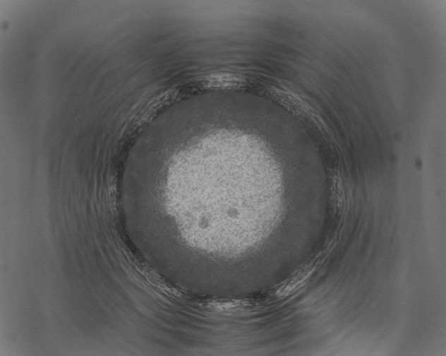 X0000077290557200611031553