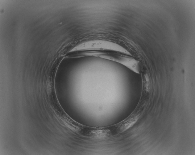 X0000077290558200611031553