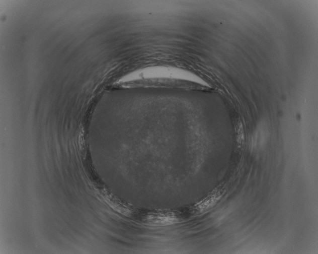 X0000077290559200611031553