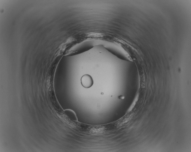 X0000077290560200611031553