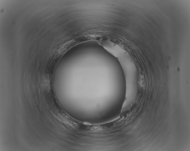 X0000077290562200611031553