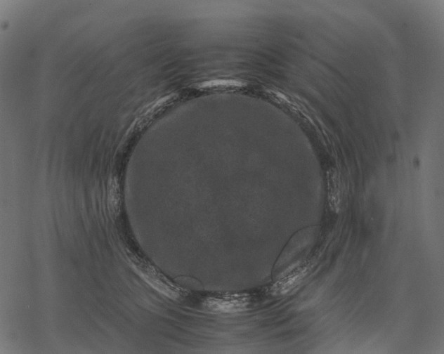 X0000077290563200611031553