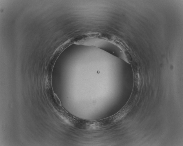 X0000077290564200611031553