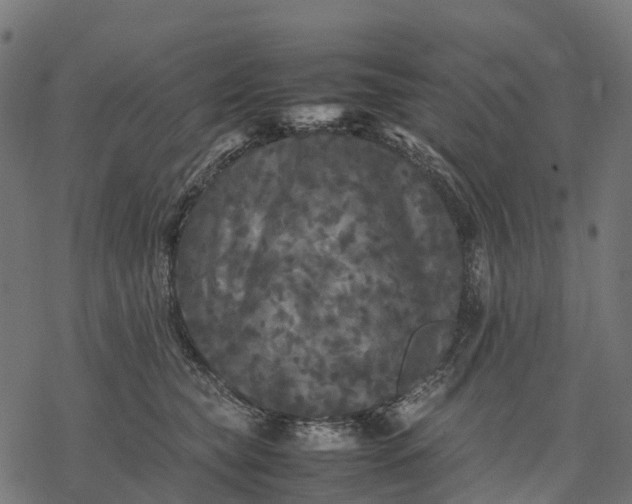 X0000077290565200611031553