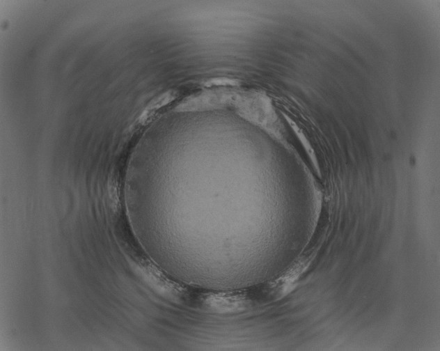 X0000077290568200611031553