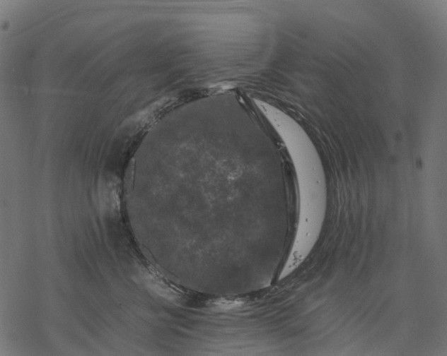 X0000077290570200611031553