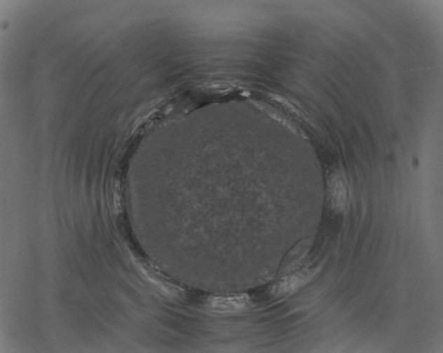 X0000077290571200611031553