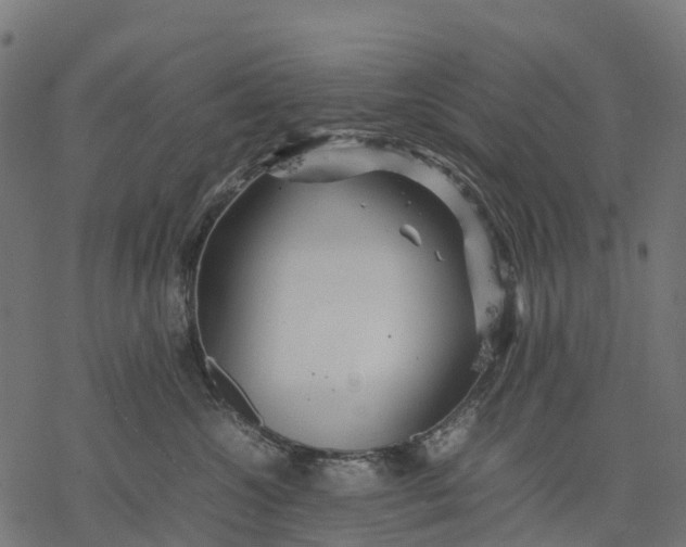 X0000077290572200611031553