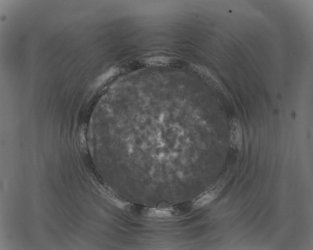 X0000077290573200611031553