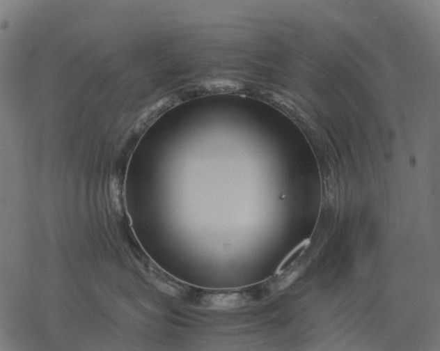 X0000077290575200611031553