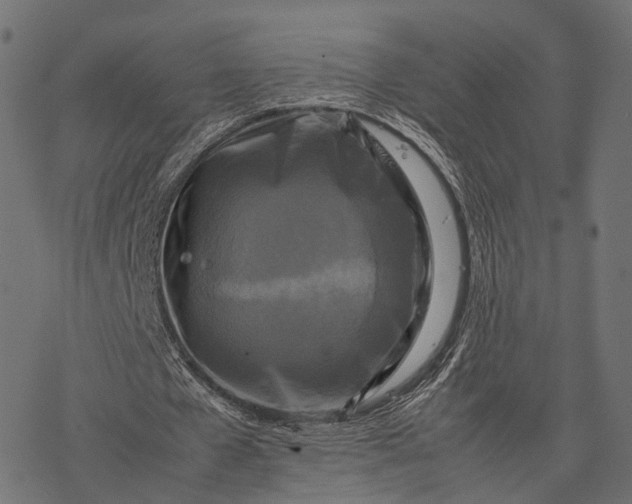 X0000077290577200611031552