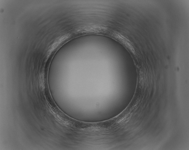 X0000077290578200611031552