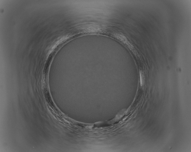 X0000077290579200611031552